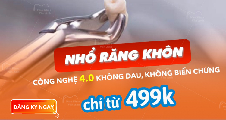 nho-rang-khon-chi-499k