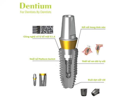 cau-tao-tru-implant-dentium-han-quoc