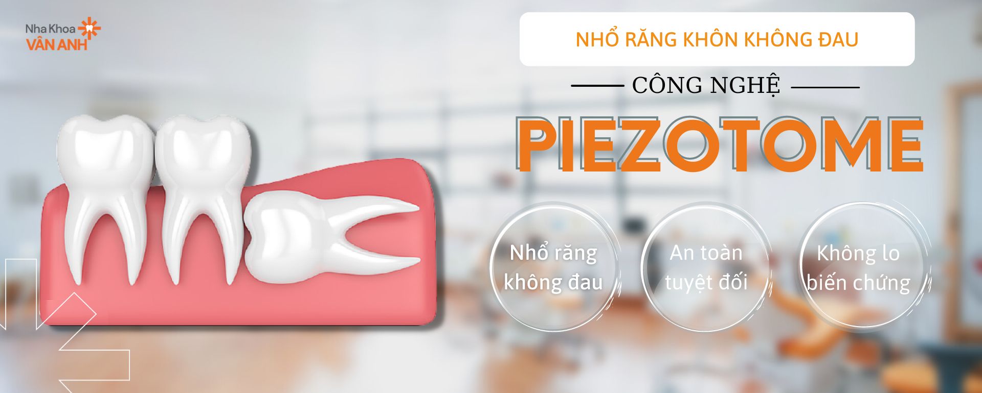 nho-rang-khon-piezotome