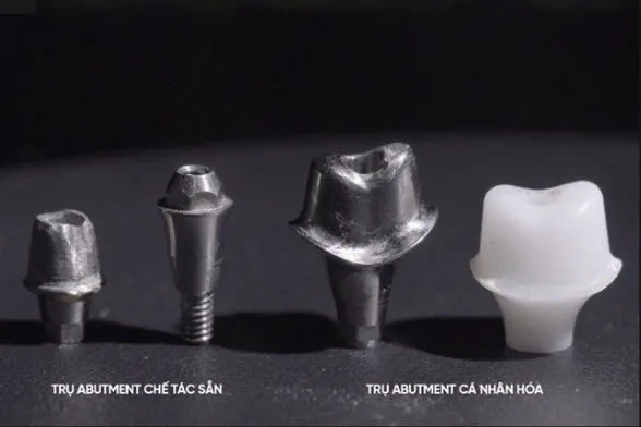 khớp kết nối implant