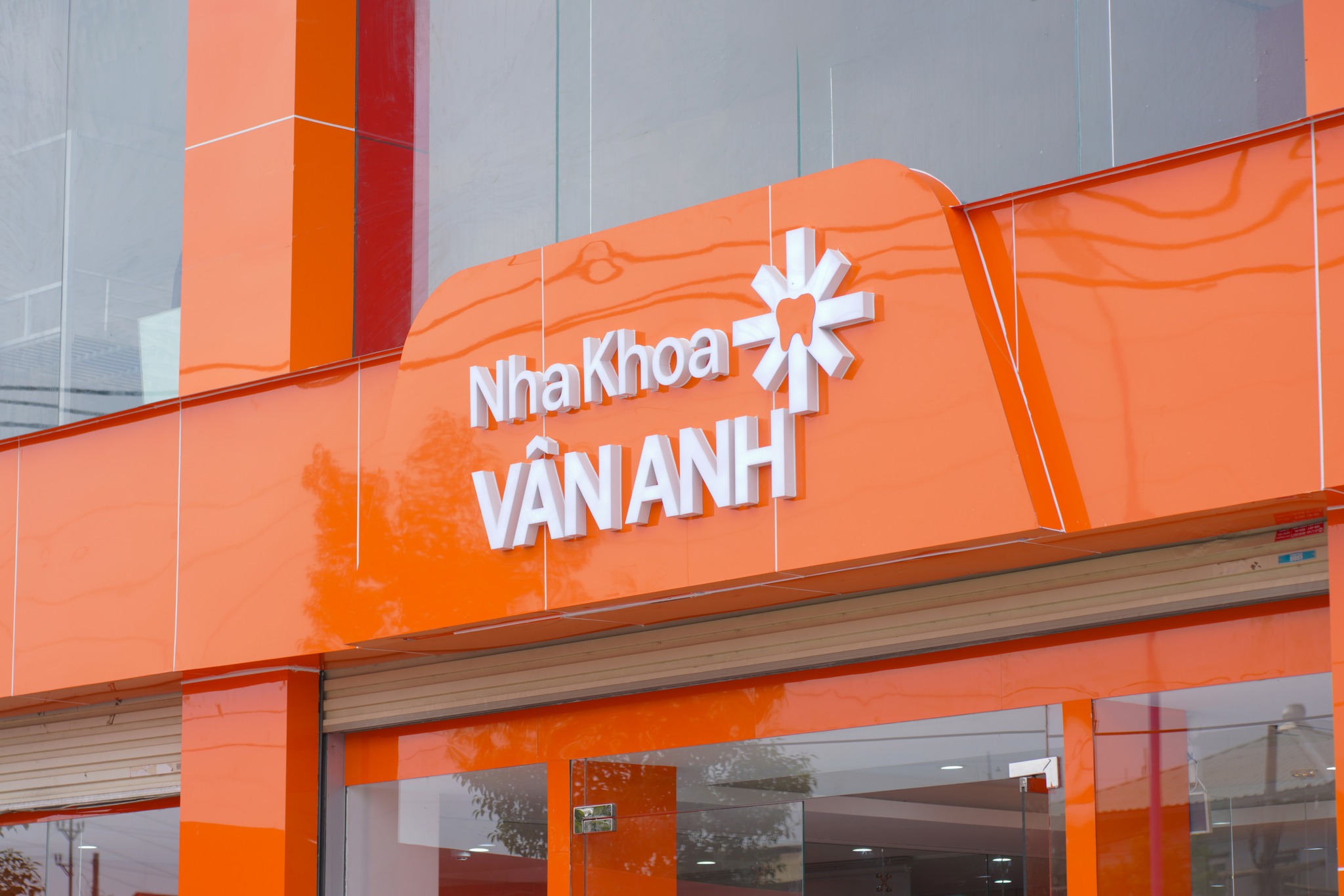 ha khoa vân anh hải dương